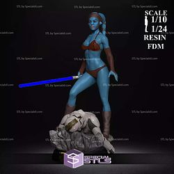 Aayla Secura Beach Outfit 3D Printer Files STL Model