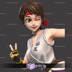 Yuri Sakazaki Posing 3D Printer Files STL Model