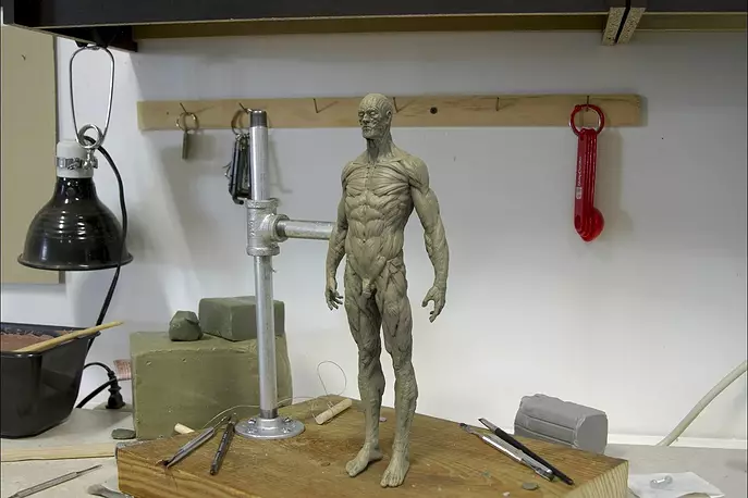 Anatomy human 3D OBJ Model