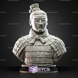 Mini Bust Character Collection STL Terracotta Army 3D Model
