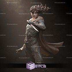 Chani Dune Fanart Verison 3D Printer Files STL Model