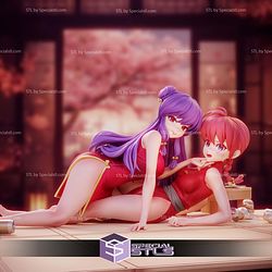 Ranma And Shampoo 1 7 STL Files 3D Model
