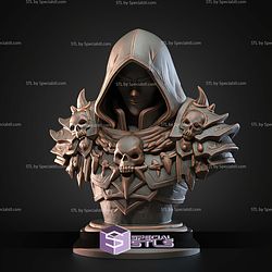 Mini Fantasy STL Collection Shadow Assassin Bust 3D Model
