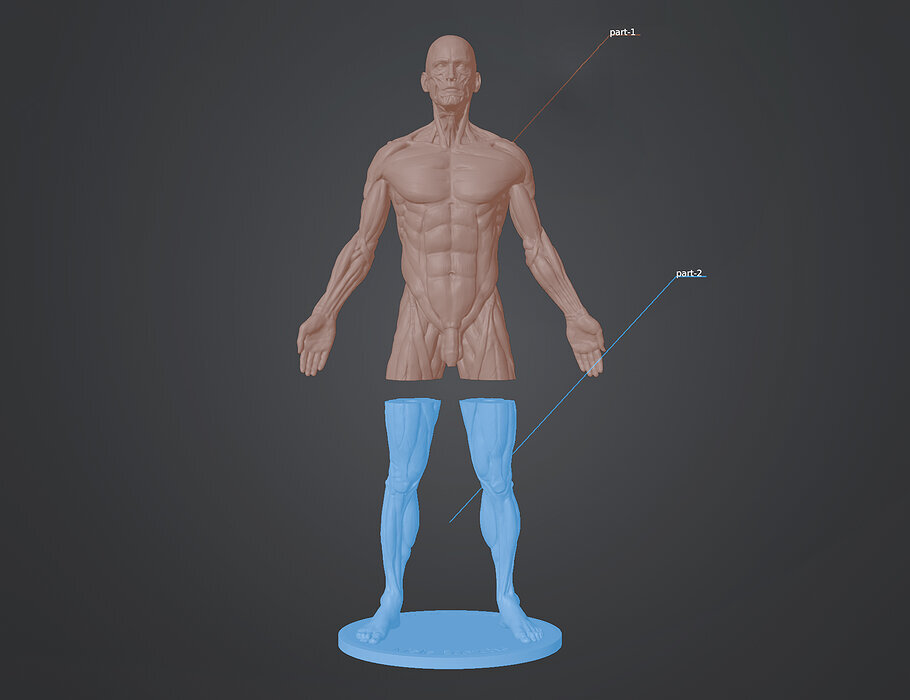 Ecorche for printing 3D OBJ Model — view 5